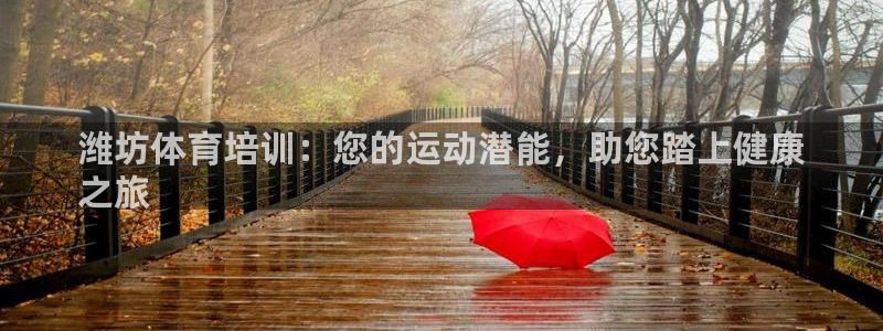 极悦娱乐官网下载app：潍坊体育培训：您的运动潜能，