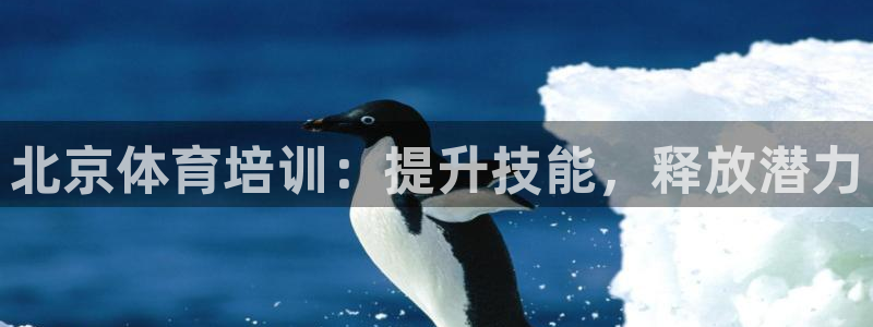 极悦娱乐官网客服联系方式：北京体育培训：提升技能，释