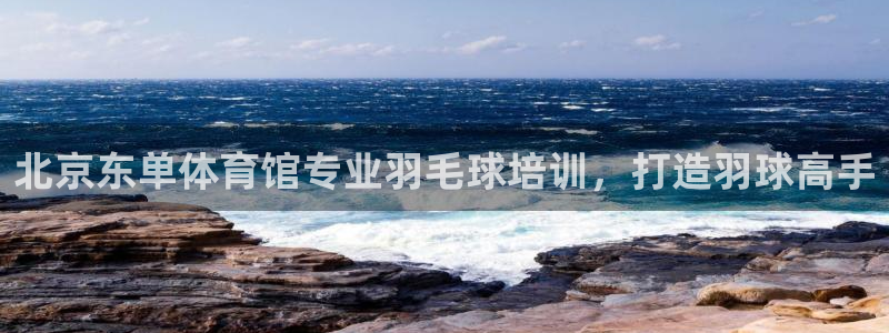 极悦平台是干什么的公司：北京东单体育馆专业羽毛球培训