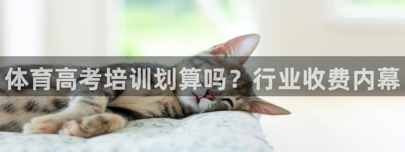 石家庄极悦空间设计有限公司：体育高考培训划算吗？行业