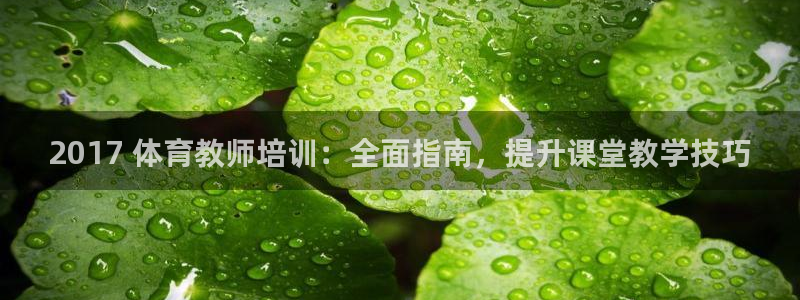 极悦平台注册登录失败：2017 体育教师培训：全面指