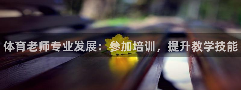 极悦娱乐挂机赚钱是真的吗：体育老师专业发展：参加培训
