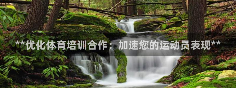 极悦平台官方网站入口网址：**优化体育培训合作：加速