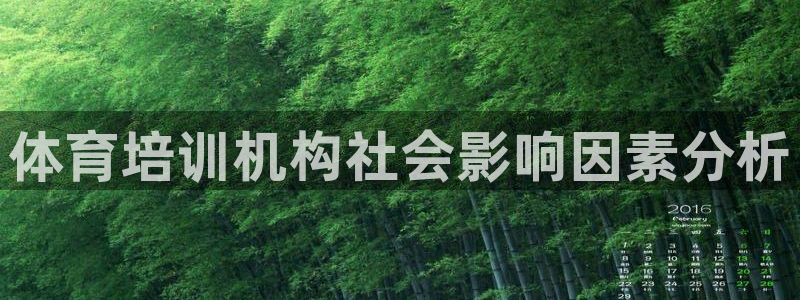 极悦娱乐最新版本更新内容分享：体育培训机构社会影响因
