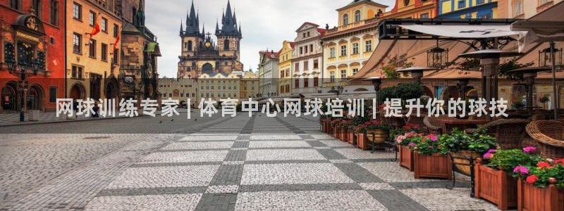 极悦平台使用教程图解：网球训练专家 | 体育中心网球