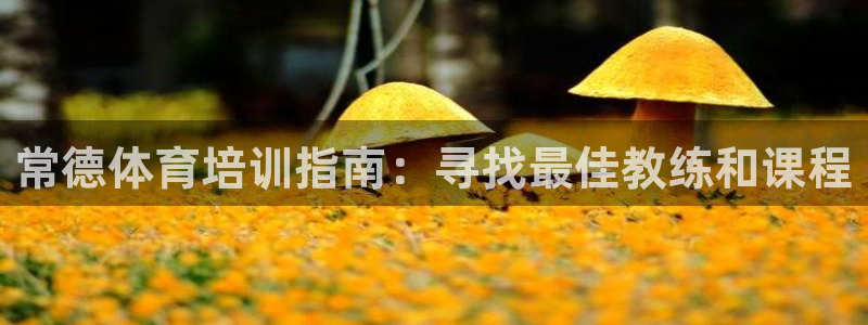 极悦平台官网下载中心：常德体育培训指南：寻找最佳教练