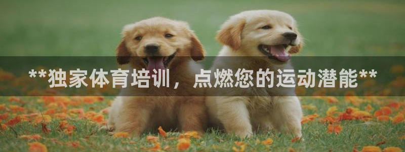 极悦平台使用注意事项有哪些：**独家体育培训，点燃您