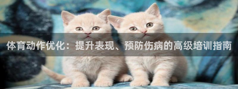 极悦平台官网入口网站：体育动作优化：提升表现、预防伤