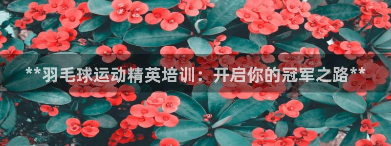 极悦平台股东：**羽毛球运动精英培训：开启你的冠军之