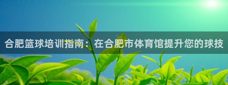 极悦娱乐的最新版本更新内容在哪：合肥篮球培训指南：在