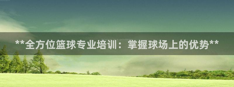 极悦娱乐代理多少钱一个月：**全方位篮球专业培训：掌
