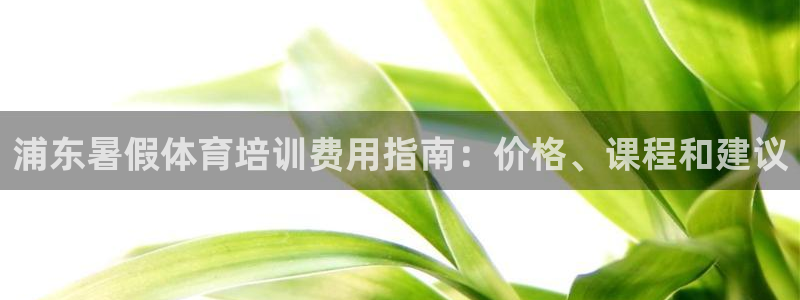 极悦娱乐代理多少钱一年：浦东暑假体育培训费用指南：价