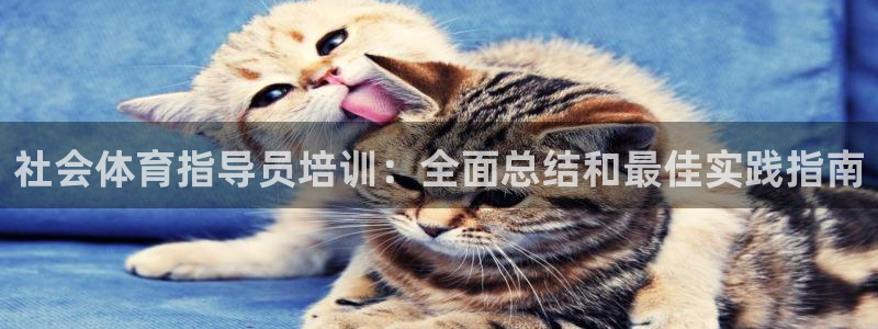 极悦平台客服团队介绍：社会体育指导员培训：全面总结和