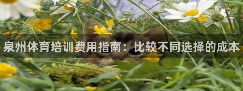 极悦平台城7O777：泉州体育培训费用指南：比较不同