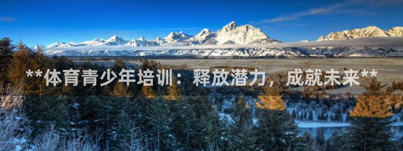 极悦平台有风险吗现在：**体育青少年培训：释放潜力，