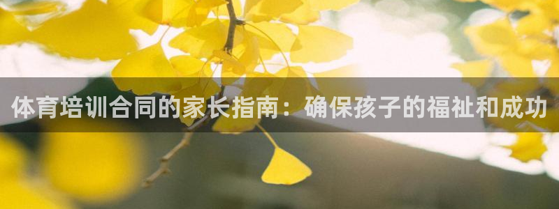极悦平台代理：体育培训合同的家长指南：确保孩子的福祉