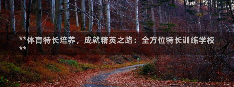 加盟极悦教育要多少钱：**体育特长培养，成就精英之路