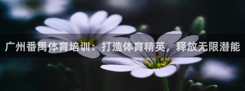 极悦平台用户评价与反馈怎么设置：广州番禺体育培训：打