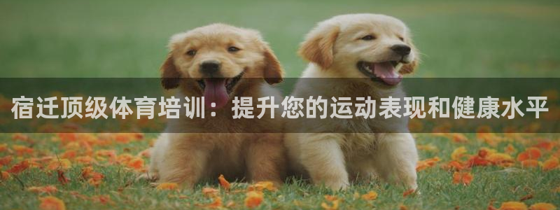 极悦平台注册用户名生成器是什么：宿迁顶级体育培训：提