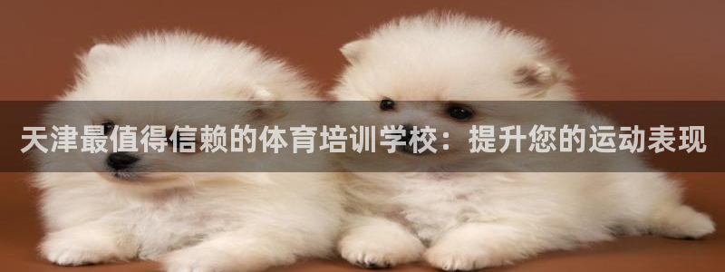 极悦官方网站入口：天津最值得信赖的体育培训学校：提升