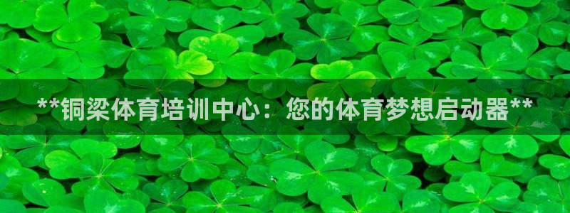 极悦平台登录好7.0.2.4安装：**铜梁体育培训中