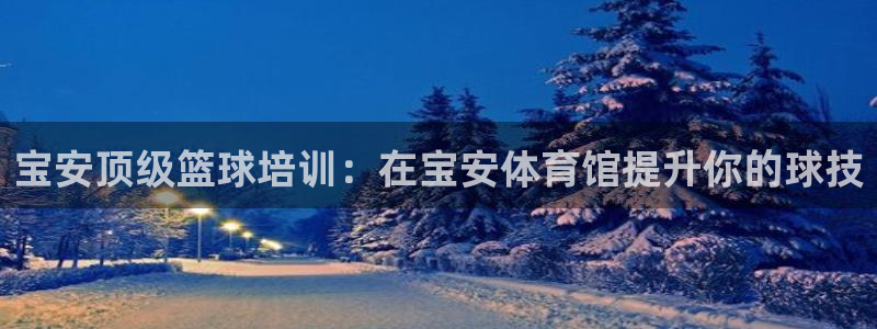 极悦平台官网入口网站：宝安顶级篮球培训：在宝安体育馆