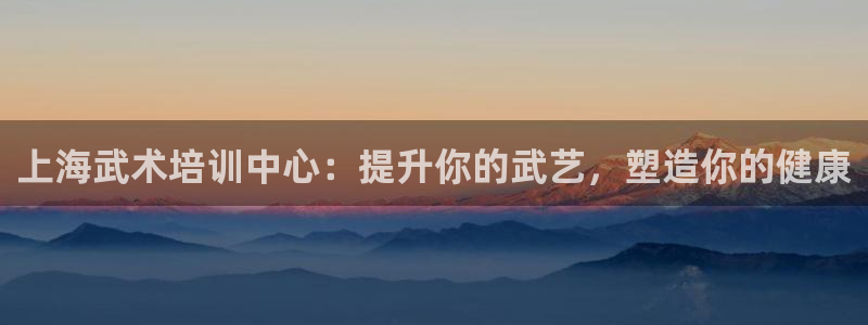 极悦平台好7.0.2.4怎么样：上海武术培训中心：提