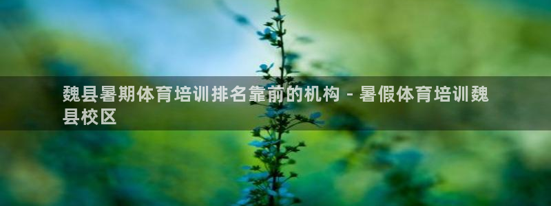 极悦平台使用教程图解：魏县暑期体育培训排名靠前的机构