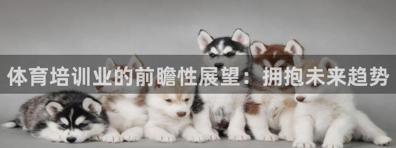 极悦平台官网登录入口网址查询：体育培训业的前瞻性展望