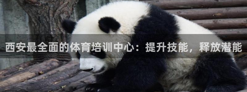 极悦平台与网易合作详情：西安最全面的体育培训中心：提