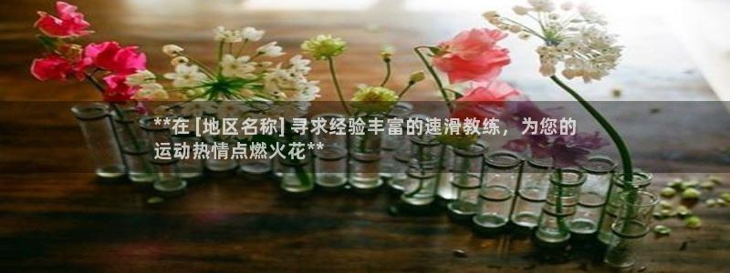 极悦平台注册流程图片：**在 [地区名称] 寻求经验