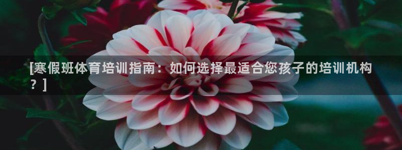 极悦官网旗舰店是正品吗：[寒假班体育培训指南：如何选
