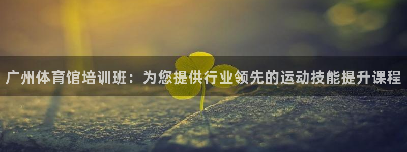 极悦平台官方网站：广州体育馆培训班：为您提供行业领先