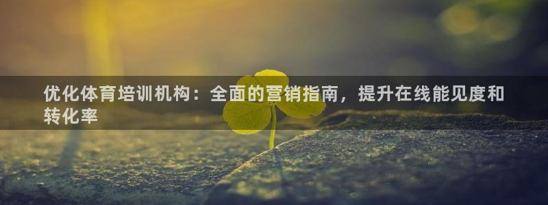 极悦平台app安全吗可靠吗：优化体育培训机构：全面的