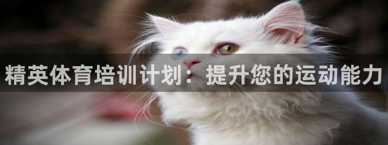 极悦平台app二维码怎么弄到桌面：精英体育培训计划：
