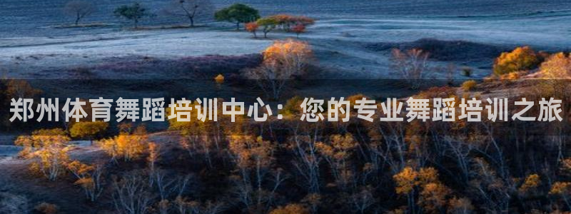极悦平台登录入口注册：郑州体育舞蹈培训中心：您的专业
