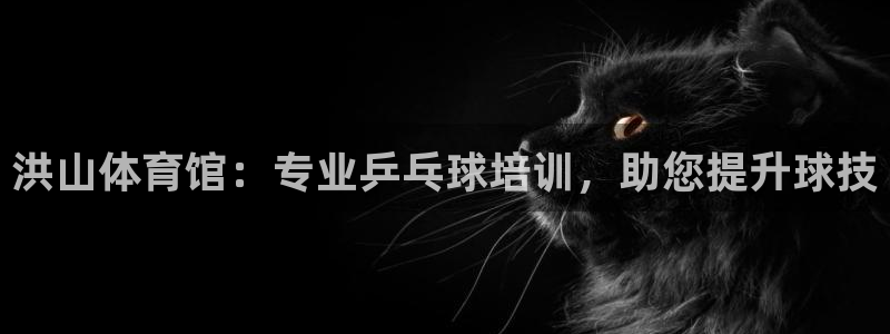 极悦平台的注册流程及注意事项：洪山体育馆：专业乒乓球