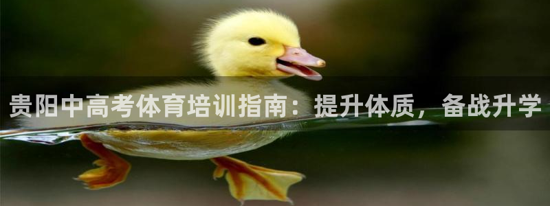 极悦平台注册官方网站下载安卓手机：贵阳中高考体育培训