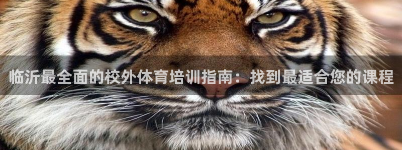 极悦平台app二维码怎么弄出来：临沂最全面的校外体育