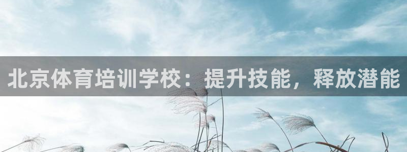 极悦平台代理怎么样可靠吗：北京体育培训学校：提升技能