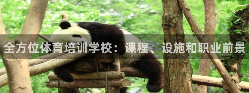 极悦平台注册用户名生成器是什么：全方位体育培训学校：
