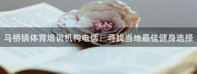 极悦平台是干什么的软件：马桥镇体育培训机构电话：寻找