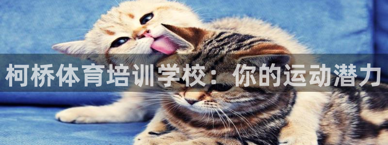 极悦官网的登录方法有哪些：柯桥体育培训学校：你的运动