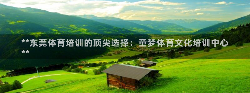 极悦平台是正规平台吗：**东莞体育培训的顶尖选择：童