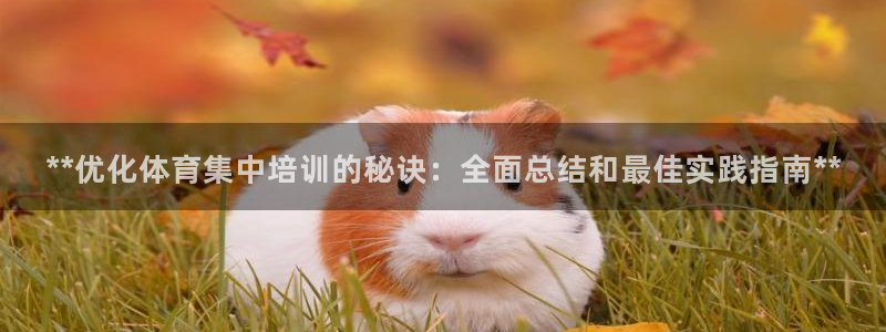 极悦平台注册和登录页面在哪：**优化体育集中培训的秘