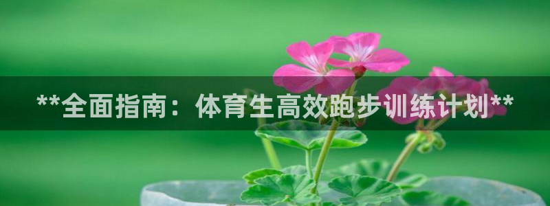 极悦平台注册流程图：**全面指南：体育生高效跑步训练