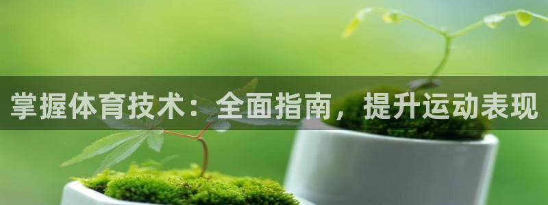 极悦平台官方网站首页入口：掌握体育技术：全面指南，提