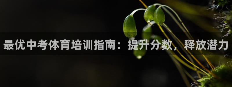 极悦平台注册用户名格式错误：最优中考体育培训指南：提