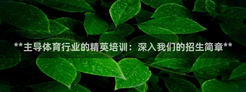 极悦平台官网登录入口网址查询：**主导体育行业的精英