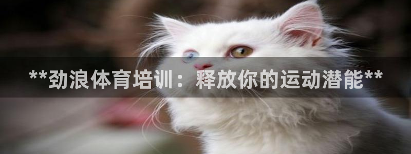 极悦平台注册登录入口网址：**劲浪体育培训：释放你的
